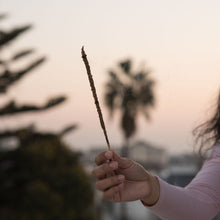 Load image into Gallery viewer, Incense Natural Citronella with Orange