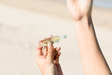 Load image into Gallery viewer, FOCUS ESSENTIAL OIL ROLLER - 10ML