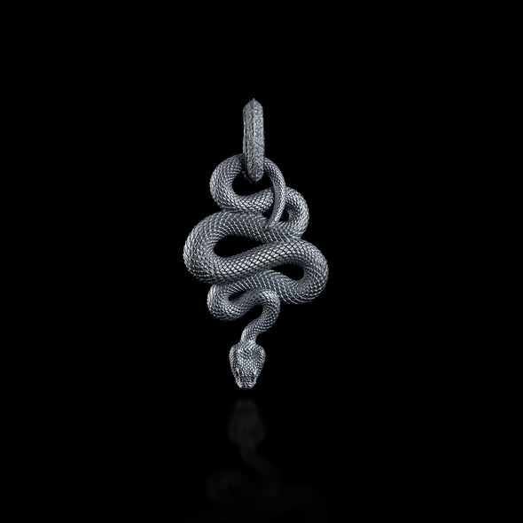 Snake Pendant: Brass