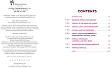 Load image into Gallery viewer, A Little Bit of Crystals by Cassandra Eason