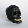 Near and Deer - Faux Human Skull Table Décor: Black with Gold
