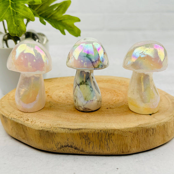 Rock Paradise - Gemstone Angel Aura Crystal Mushrooms - You Choose Stone: Angel Aura Rose Quartz
