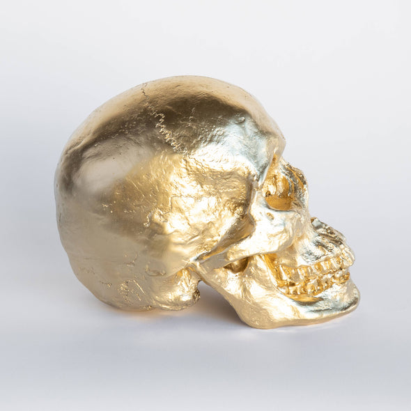 Near and Deer - Faux Human Skull Table Décor: Black with Gold