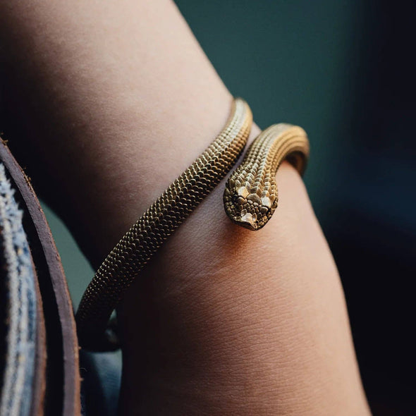 Hognose Snake Bracelet: Brass / 7"