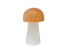Freedom Rocks - All Natural Two Tone Selenite Mushrooms 3-4" Tall