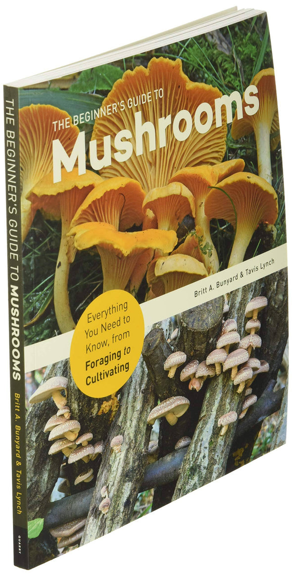 Beginner's Guide to Mushrooms: Everything You Need to Know