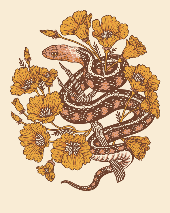 Snake + Poppies 8x10" Giclee Print