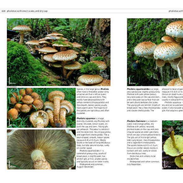 Fungi of Temperate Europe: Volumes 2