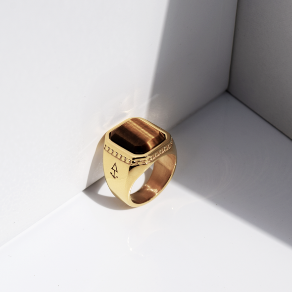 Ring ZEUS TIGEREYE: Gold (18K vergoldet) / 69 (22.0 mm Innendurchmesser)