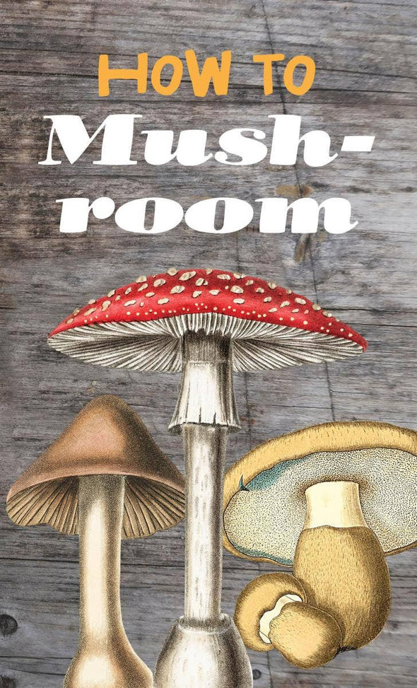 Microcosm Publishing & Distribution - How to Mushroom