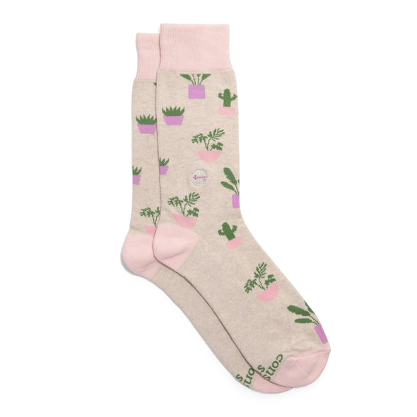 Socks that Build Homes (Pink Houseplants)