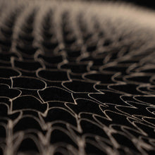 Load image into Gallery viewer, ADAPTATION WOMEN