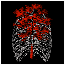 Load image into Gallery viewer, AXIS WOMEN