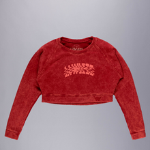 Load image into Gallery viewer, DISTORTION CROP TOP SWEATSHIRT