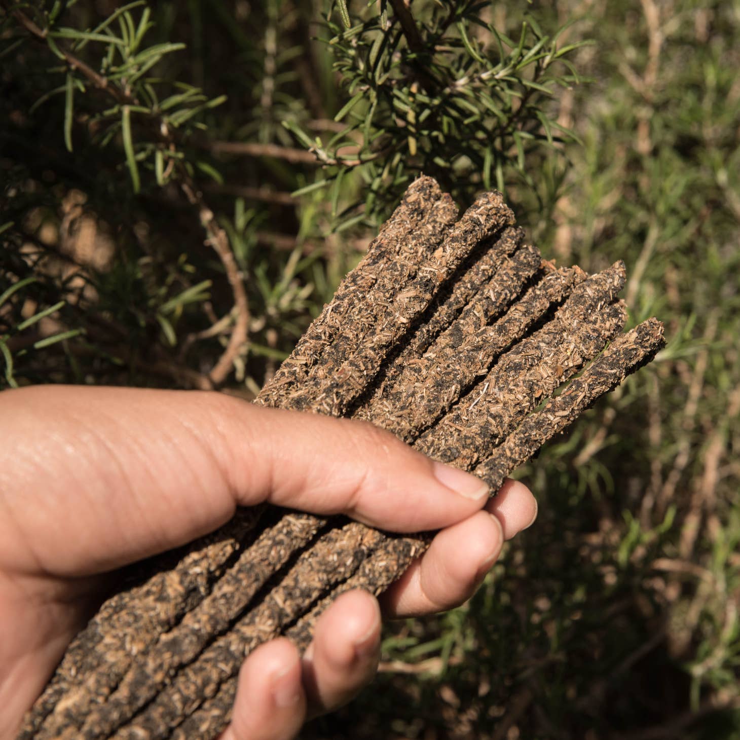 Rosemary and Rue Natural Incense